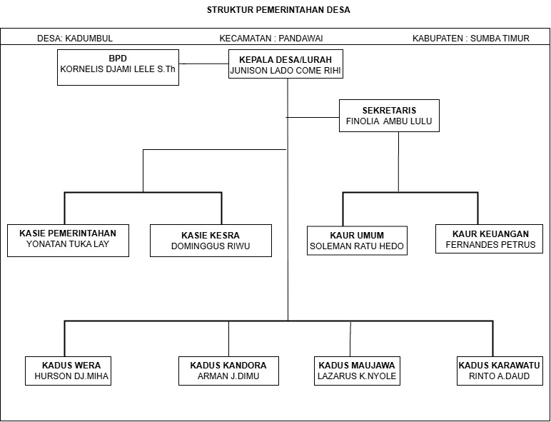 Bagan Struktur Organisasi Desa